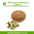 Dioscorea Nipponica Extract Powder Diosgenin 98% Precio