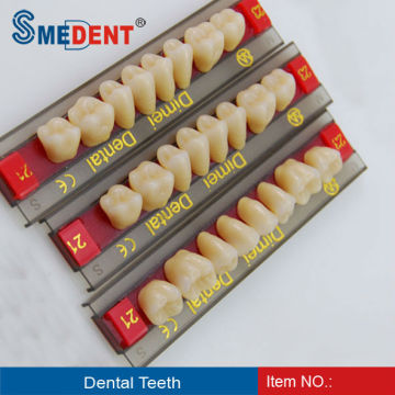 Denture Acrylic Resin Teeth/acrylic denture teeth