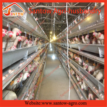 Stacked 6 tiers chicken egg layer cages poultry cage battery hen cage for Kenya farm