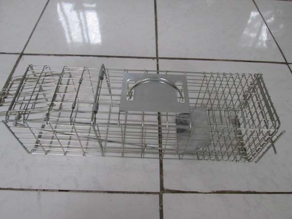 galvanized wire mesh metal mouse rat animal trap cage