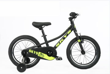 Steel Frame Children′ S Bike Double Disc Brake