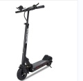 600W CityCoco 2 Wheel OEM Electric Scooter