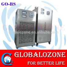 Ozone generating machine air ozone generator for kitchen duct purification system