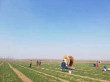 Water spray hose reel irrigation system