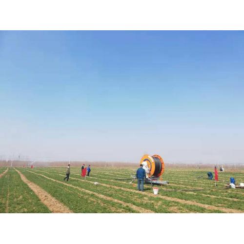 Water spray hose reel irrigation system