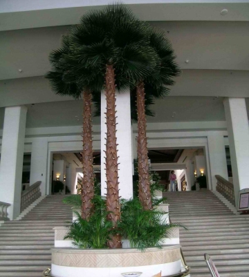 Indoor artificial palm tree,washington palm tree, palm tree