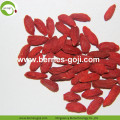 Nhà máy cung cấp trái cây dinh dưỡng Mới đến Goji Berry