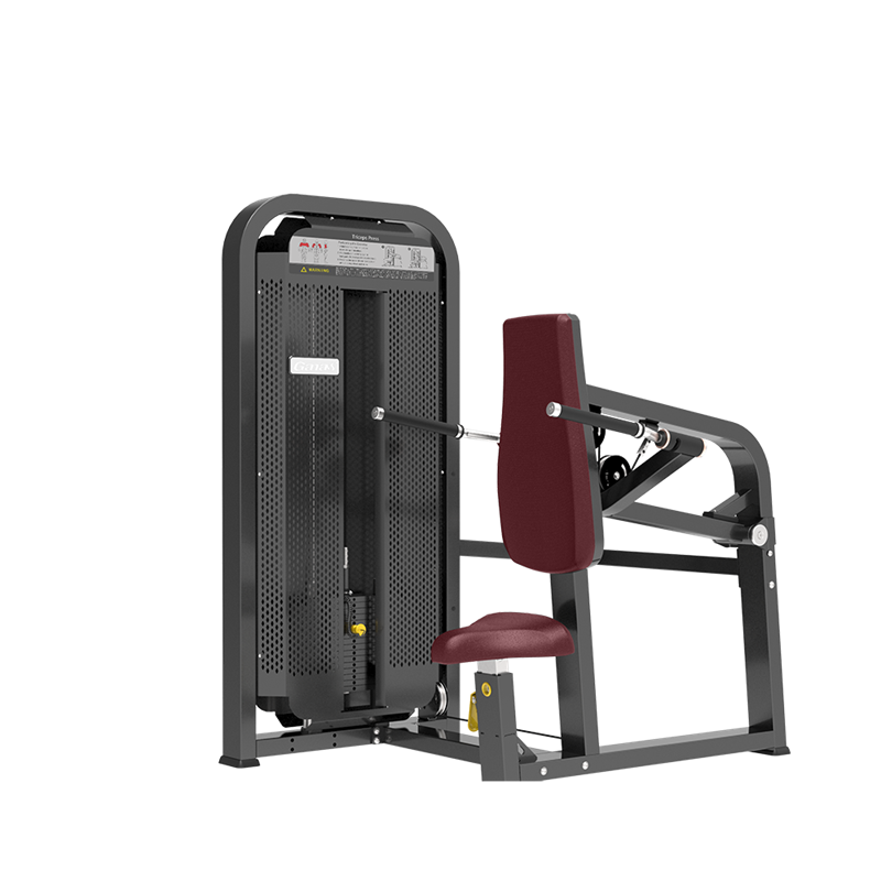 صالة الألعاب الرياضية معدات اللياقة البدنية جالسة ثلاثية الرؤوس