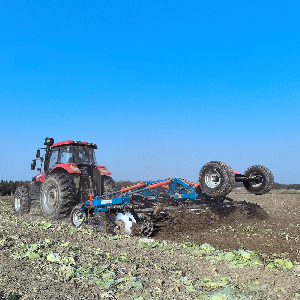 _20250325142557 _20250325142557