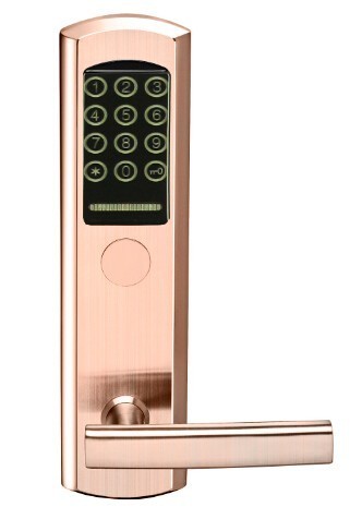 High quality smart card and password electronic security combination door lock