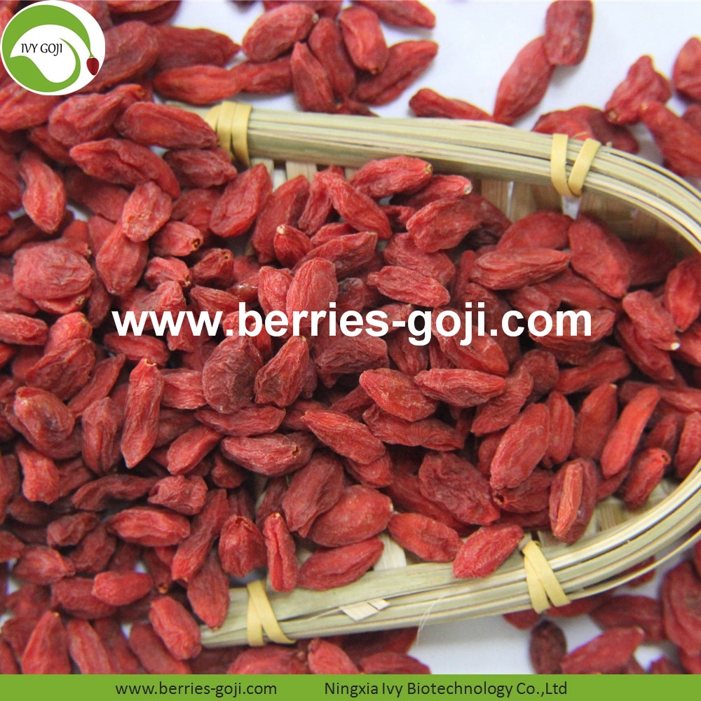 goji berry