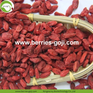 Factory Wholesale Nutrition Natural Ningxia Goji Berry