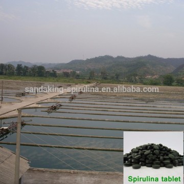 Manufacturer natural spirulina tablet with high spirulina tablet benefits