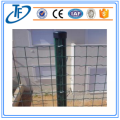 pvc coated holland wire cloth/galvanized euro fence