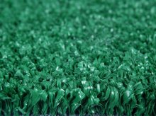 FIH Certificate Hokey Cricket Grass