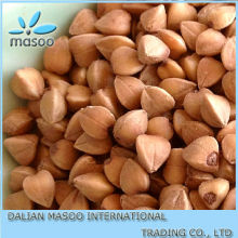 buckwheat investment project of buckwheat processing Roasted and hulled buckwheat kernel