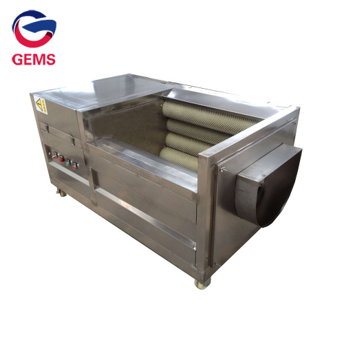 Potato Washing and Peeling Machine Potato Washer Peeler