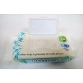 Private Label Sensitive Skin Bamboo Biodegradable Baby Wipes