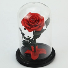 Eternal Roses: Red and Pink Mini Preserved Roses in Glass Dome