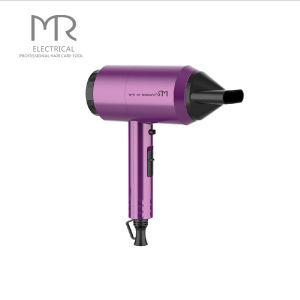 Electric Hair Dryer Salon Hotel 2200 Hair Dryer