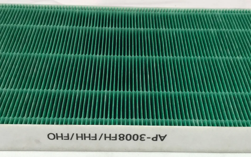 HEPA Filter Replacement for Coway Ap 3008 Air Purifier