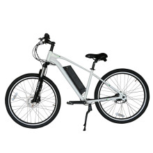 2019 Shaft Drive Chainless Electric Bike Transmission