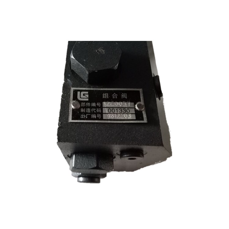 CLG856 Loader Overflow Combination Valve 12C0037