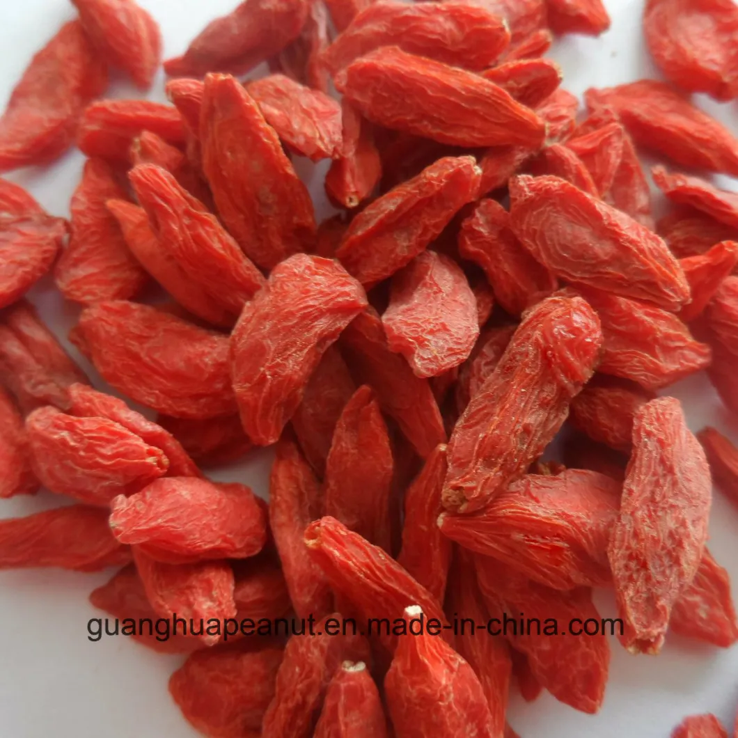 Wholesale Price Dried Gojiberry Preserved Gojiberry