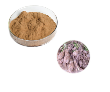 Polygonum Multiflorum Fo-Ti Root He Shou Wu Extract