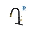 Matte Black Kitchen Faucet with Pull Down Sprayer