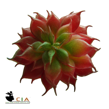 Fresh color succulent cheap succulent plant beautiful design artificial succulent