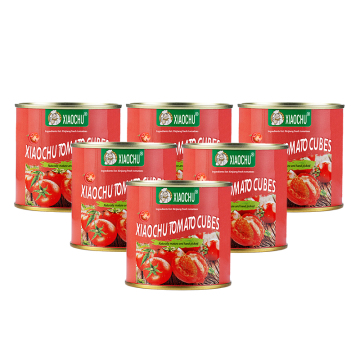 Made in China Canned Organic Diced Tomatoes 252g 400g