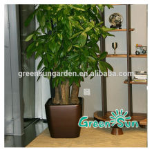 Large outdoor Chinese floor vase