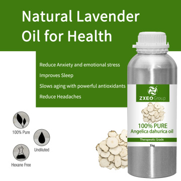 Chinese Angelica Dahurica Root Extract Oil for Massage