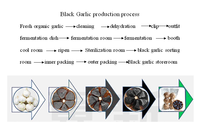 black garlic fermetation process