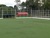 Synthetic grass for soccer field