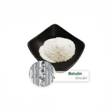Birch Bark Extract Betulin powder 50% 98% Betulin