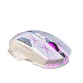 2.4GHz Wireless Gaming Mouse With Type-C Interface
