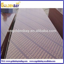 poplar combi core shuttering plywood