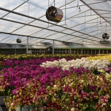 UV open High insulation anti-fog greenhouse film hydropnic