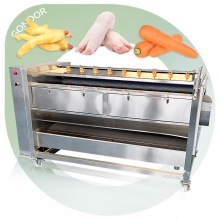 Small Sweet Potato Clean Wash Peel Machine with Brush for Ginger and Fruits/Vegetables for Sale