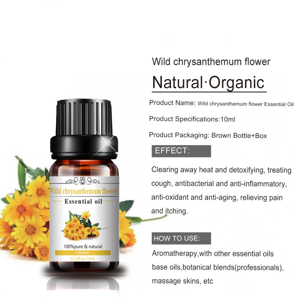 Mejor calidad Pure Natural Wild Crysanthemum Oil Flower Flower