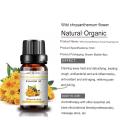 Mejor calidad Pure Natural Wild Crysanthemum Oil Flower Flower