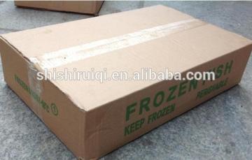 Frozen Spanish Mackerel BQF Scomberomorus Niphonius Frozen Mackerels