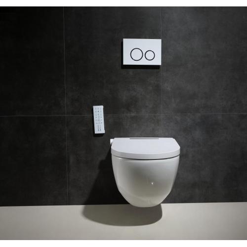 Floor mounted new style electronic intelligent toilet