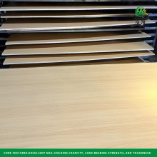 High Quality Plywood for All Construction Needs