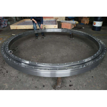 RTC100 Slewing Ring Bearing