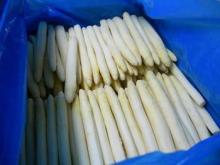 Planting Grow Purple White Green Asparagus Seeds