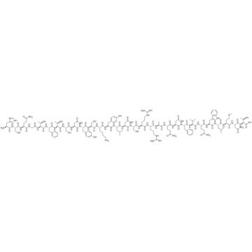 Glucagon CAS 16941-32-5