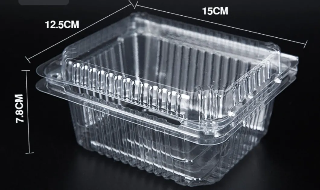 Pet Clear Plastic Compartment Take Away Salad Food Container Tray 6